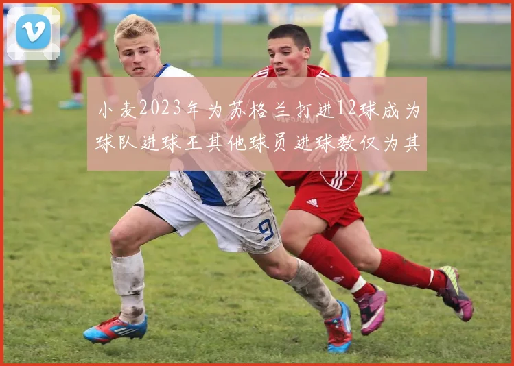 小麦2023年为苏格兰打进12球成为球队进球王其他球员进球数仅为其一半